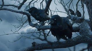 Game Of Thrones 7x05-Bran sees the Night King at Eastwatch