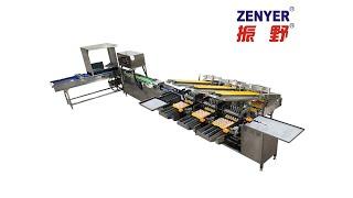 Zenyer 102BP egg grader with auto packer 5000 eggs/hour