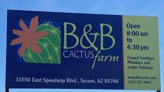 plant shopping at B&B CACTUS nursery in tuscon, arizona.   HUGE ADENIUMS AND SUPER COOL CACTI!!!