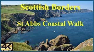 Scottish Borders, St Abbs Coastal Walk. 31st July 2020