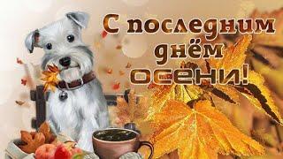 Прекрасное поздравление с последним днем осени! Завтра уже зима! / Happy last day of autumn!