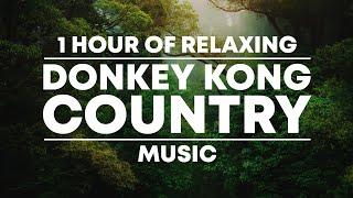 1 Hour of Relaxing 'Donkey Kong Country' Music