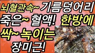 뇌혈관속~기름덩어리,죽은~혈액,한방에,싹~녹여,뇌경색!,뇌졸중!,치료                                찔레나무뿌리,장미근,薔薇根,@WellbeingTV