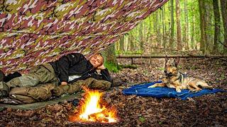 1 Nacht im Wald mit Hund