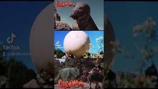 #caveman #movie #trailer #youtube #classic #80s #like #subscribe #adventure #fantasy #video #ringo