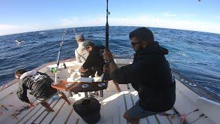 IFISH - Bermagui Marlin Madness!