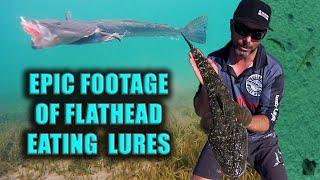 FLATHEAD EATS LURES on UNDERWATER & AERIAL DRONE | How to catch Flathead on the flats with plastics