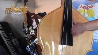 Pacas Verdes (Slappin Da Bass Cover ) - Manny Tololoche