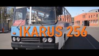 IKARUS 256 Мечта Детства | Обзор, Ретро Тест-драйв, История Создания | Pro Автомобили CCCР