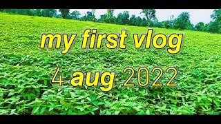 MY FIRST VLOG || ️ MY FIRST VIDEO ON YouTube || bablu banna vlog