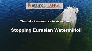 Stopping Eurasian Watermilfoil in Lake Leelanau