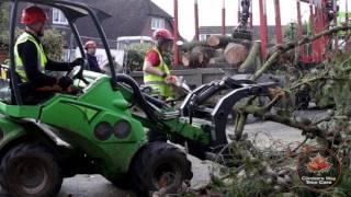 So you want to be a tree surgeon! A day in the life of an arborist.