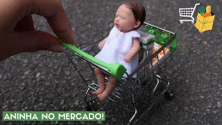 COMPRINHAS NO MERCADO COM A MINI BEBÊ REBORN ANINHA