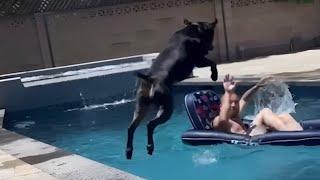 THE FUNNIEST DOG FAILS EVER | DOG FAIL COMPILATION | WIDOFAILS