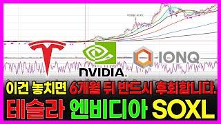 이건 놓치면 6개월 뒤 반드시 후회합니다. 테슬라 엔비디아 SOXL 아이온큐
