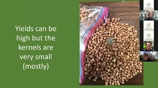 Hazelnuts: A High Value Nut Crop for the Upper Midwest