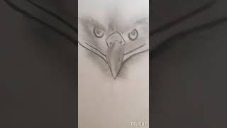 Drawing Eagle's Face #Creative Canvas