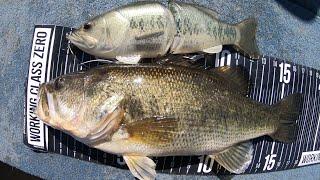 Fishing with a Deps Code Name Bass
