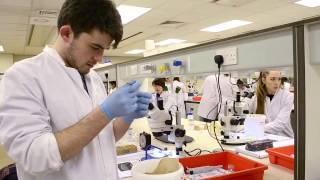 Biomedical Science at the University of Sheffield