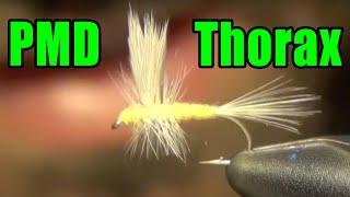 PMD Thorax Dry Fly Tying Instructions and How To Tie Tutorial