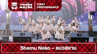 「Shamu Neko – แมวสยาม」from BNK48 13th SINGLE "Iiwake Maybe" FIRST PERFORMANCE / BNK48