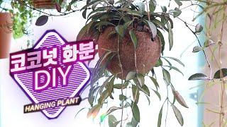 코코넛으로 화분만들기/코코넛화분DIY/행잉식물 화분