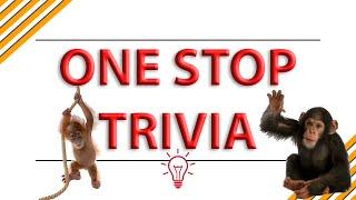 Primates - One Stop Trivia (2020)