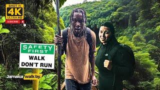 ️Walking To Blue Mountains Peak Jamaica Full Tour - HIKING IS NOT FOR THE WEAK 4K 2024