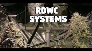 RDWC System Build  - DIY Recirculating Water Culture