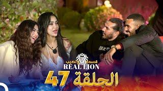 قسمة ونصيب: Real Lion - الحلقة 47