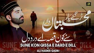 Sune Kon Qissa e Dard e Dil | Mera Ghamgusaar Chala Gya | Emotional kalam