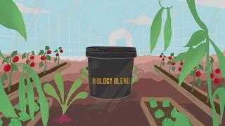 Biochar for gardens and commercial crops