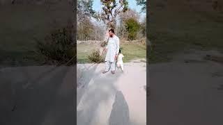 Monkey ny hammad ko dra diya #youtubeshorts #shortvideo #trending #funny #comedy