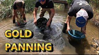 We Find GOLD Panning A New Creek!