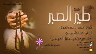 طير الصبر | كلمات: محمد ال عمره المري | أداء: شبل الدواسر