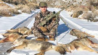 HAMMERING WINTER DOGS! Coyote Hunting with Sin City Outdoors!