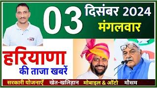 3 December 2024 Haryana News || हरियाणा की ताजा खबरें || Haryana Live News || CWB Hindi News