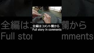 【盆栽Bonsai】豆盆栽 五葉松素材への針金かけ2【 Bonsai】mame bonsai/Wrapping wire around a Japanese white pine material2