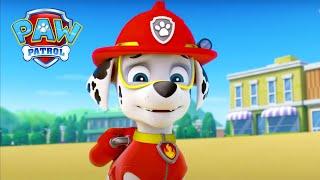 海灘上的小狗 - PAW Patrol 汪汪隊立大功 - 兒童卡通