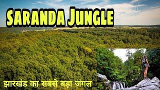 largest forest of Jharkhand (saranda forest) सारंडा वन