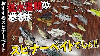 【名作ズラリ】こだわりたい秋のスピナーベイト使い分け術【爆買いスピリッツ】