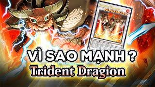 LỊCH SỬ YUGIOH - Trident Dragion TRỞ LẠI sau 15 NĂM bị lãng quên | Yu-Gi-Oh! Việt Nam