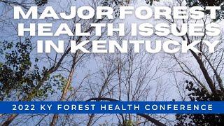 Major Forest Health Issues in Kentucky