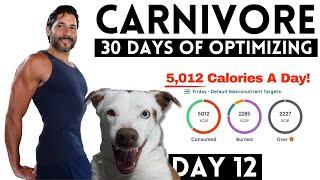 30 Days To The Most Optimized Carnivore Diet EVER - DAY 12