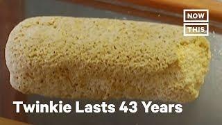 This Twinkie Has Lasted 43 Years | NowThis