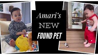 Amari Crawford new found pet | Coleen Garcia-Crawford || Billy Crawford