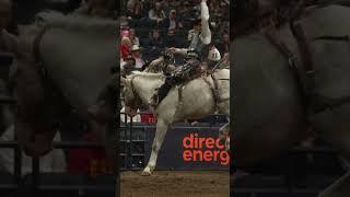 Beauty of a bucker at The CFR Hanging Horses #rodeo #broncriding