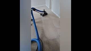 carpet cleaning with rotary 647-502-5008 www.exclusivehomeservices.ca