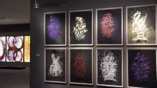 Chihuly Drawings exhibit at the Wichita Art Museum