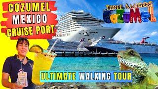 ULTIMATE Cozumel Mexico Port Tour - Everything You Need to Know About Cozumel Mexico